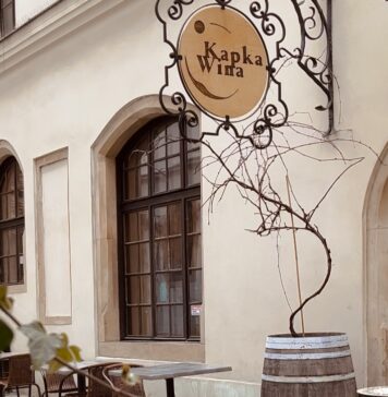 Śródziemnomorski klimat w centrum Wrocławia? Kapka Wina z pięknym patio, szeroką ofertą win i tapasów zaprasza