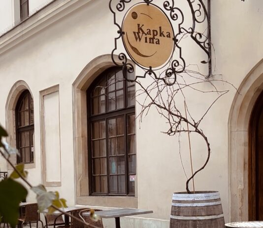 Śródziemnomorski klimat w centrum Wrocławia? Kapka Wina z pięknym patio, szeroką ofertą win i tapasów zaprasza