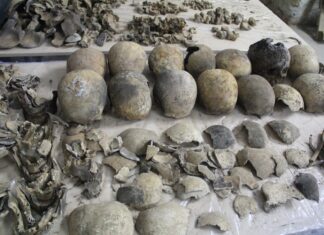 W Katedrze Świdnickiej odnaleziono kości co najmniej 38 osób, w tym trojga dzieci. Kim byli?