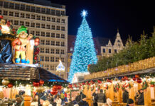 Choinki i iluminacje świąteczne w ośmiu miejscach Wrocławia