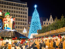 Choinki i iluminacje świąteczne w ośmiu miejscach Wrocławia