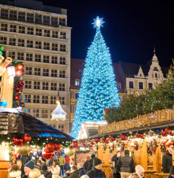 Choinki i iluminacje świąteczne w ośmiu miejscach Wrocławia