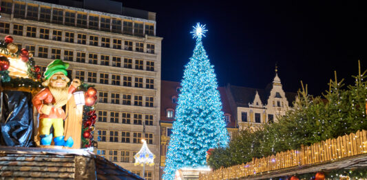 Choinki i iluminacje świąteczne w ośmiu miejscach Wrocławia