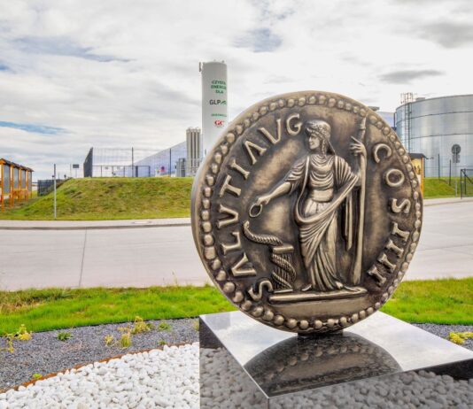 Nietypowy pomnik pod Wrocławiem – co oznacza?