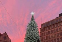 Rozświetlenie choinki na wrocławskim Rynku już jutro!