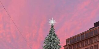 Rozświetlenie choinki na wrocławskim Rynku już jutro!