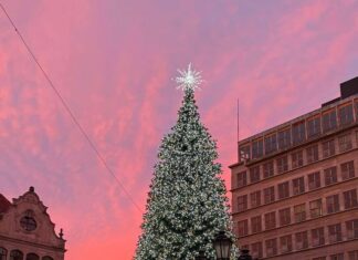 Rozświetlenie choinki na wrocławskim Rynku już jutro!