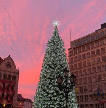 Rozświetlenie choinki na wrocławskim Rynku już jutro!