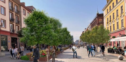 Ulica Świdnicka będzie zielona. W centrum Wrocławia posadzą 34 nowe drzewa