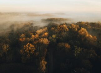 Jesień na Dolnym Śląsku za darmo. 10 miejsc na wycieczkę bez kupowania biletu