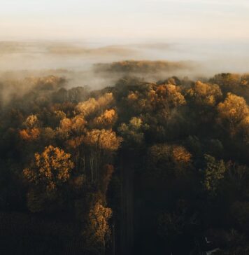 Jesień na Dolnym Śląsku za darmo. 10 miejsc na wycieczkę bez kupowania biletu