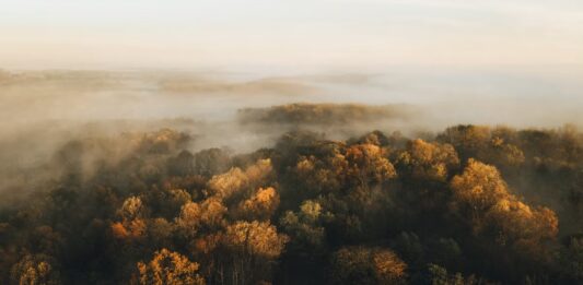 Jesień na Dolnym Śląsku za darmo. 10 miejsc na wycieczkę bez kupowania biletu