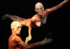 BODY WORLDS we Wrocławiu – fascynująca wystawa o życiu i zdrowiu. Tylko do 11.08!