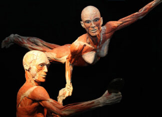Wystawa BODY WORLDS powraca do Wrocławia z nową odsłoną!