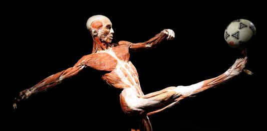 Wystawa BODY WORLDS we Wrocławiu przedłużona do 30 czerwca!