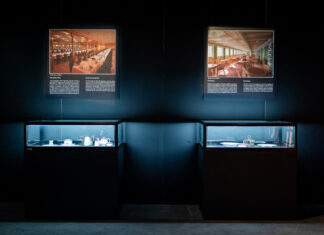 „W cieniu gigantów” – nowa wystawa czasowa w Hydropolis