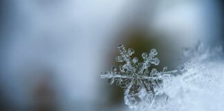 Prognoza pogody we Wrocław na tydzień 3–9 lutego