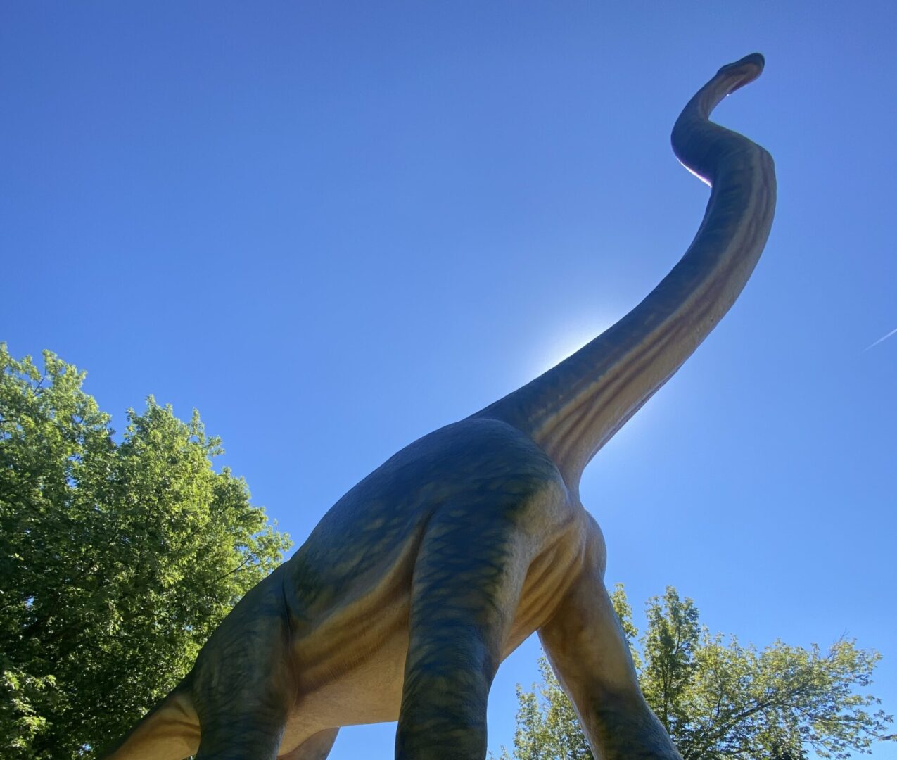Na zdjęciu dinozaur z parku w Lubinie