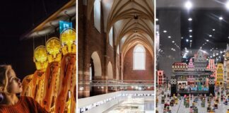 Jakie wystawy odwiedzić w lutym 2026 roku we Wrocławiu?