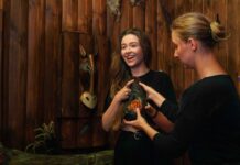 Jakie atrakcje we Wrocławiu wybrać z dziećmi? Postaw na escape room