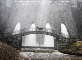 Polski film IO nominowany do Oscara. Piękna i przerażająco smutna opowieść o relacji ludzi i zwierząt