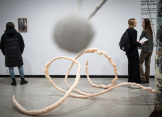 Nowa wystawa we Wrocławiu: Nostalgiczne fotografie natury i rzeźby z odpadów budowlanych.