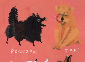 „Jak nazwać pieska?” – wystawa w OPT Zamek we Wrocławiu