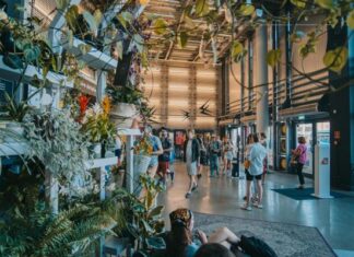 10. urodziny Kina Nowe Horyzonty we Wrocławiu. Bilety za 10 zł, silent disco w kinie i seans – niespodzianka