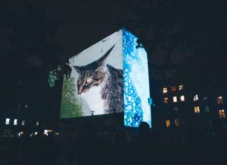 Gigantyczne ruchome malowidła pojawią się na kamienicach Wrocławia!