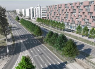 Rusza wielkie zazielenienie ulicy Legnickiej i Lotniczej we Wrocławiu!