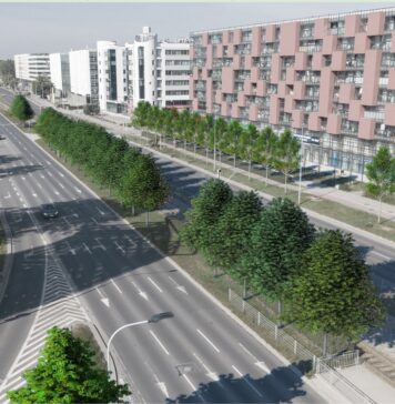 Rusza wielkie zazielenienie ulicy Legnickiej i Lotniczej we Wrocławiu!