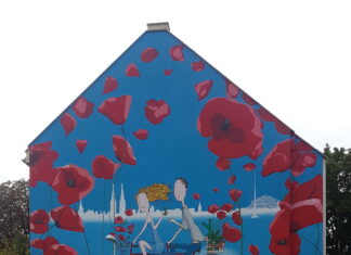 Wrocław z nowym pięknym muralem kampanii MAKi