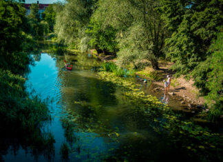 Światowy Dzień Wody – doceniajmy ją każdego dnia