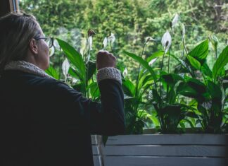 Już w sobotę Magnolia Park rozda 500 kwiatów doniczkowych!