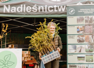 Oddaj odpady i w zamian odbierz sadzonkę drzewa. Przyjdź do Magnolia Park na Dzień Przyjazny Planecie
