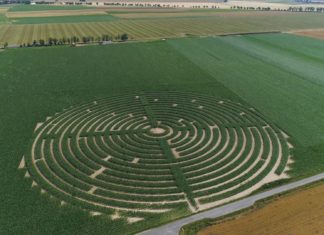 Gigantyczne labirynty kukurydziane pojawiły się w okolicy Wrocławia!