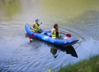 Herpetolodzy odłowią inwazyjne żółwie z Fosy Miejskiej!