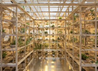 Greenhouse Silent Disco – niezwykła roślinna instalacja w Muzeum Architektury we Wrocławiu, którą warto zobaczyć!