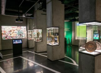 Otwarcie Muzeum Śląska Wrocław na stadionie Tarczyński Arena