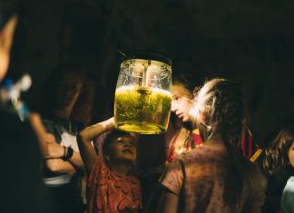 Nikt wcześniej nie przyglądał Ci się równie intensywnie jak ja – Odra zamknięta w słojach zdobywa Nagrodę Publiczności 21. Przeglądu Sztuki SURVIVAL