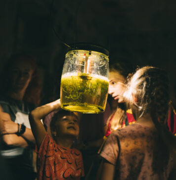 Nikt wcześniej nie przyglądał Ci się równie intensywnie jak ja – Odra zamknięta w słojach zdobywa Nagrodę Publiczności 21. Przeglądu Sztuki SURVIVAL