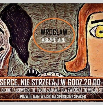 Akcja ,,Godzina dla psa w Sylwestra” – Wrocław bez fajerwerków