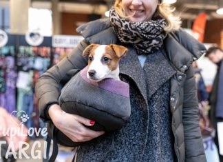 PupiLove Targi we Wrocławiu! Zabierz psa lub kota na zakupy