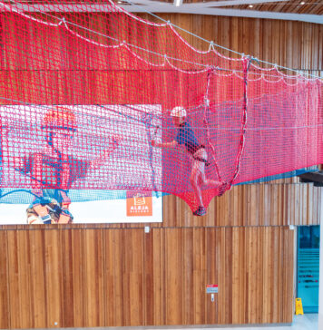 Wrocław: Bezpłatny Park Linowy w Alei Bielany już otwarty!