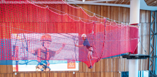 Wrocław: Bezpłatny Park Linowy w Alei Bielany już otwarty!