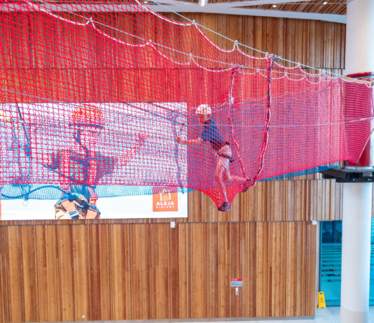 Wrocław: Bezpłatny Park Linowy w Alei Bielany już otwarty!