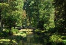 Co robić we wrocławskich parkach? Najciekawsze atrakcje i miejsca Na zdjęciu Park Szczytnicki we Wrocławiu