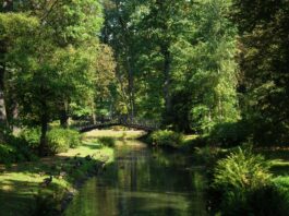 Co robić we wrocławskich parkach? Najciekawsze atrakcje i miejsca Na zdjęciu Park Szczytnicki we Wrocławiu