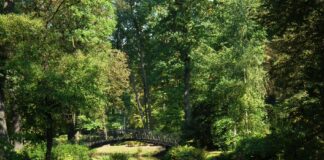 Co robić we wrocławskich parkach? Najciekawsze atrakcje i miejsca Na zdjęciu Park Szczytnicki we Wrocławiu