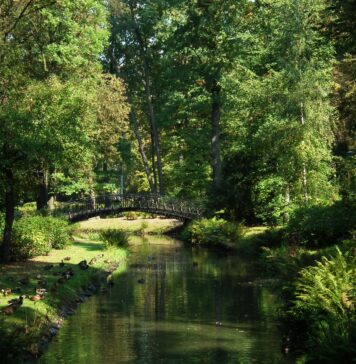 Co robić we wrocławskich parkach? Najciekawsze atrakcje i miejsca Na zdjęciu Park Szczytnicki we Wrocławiu